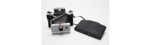 Polaroid